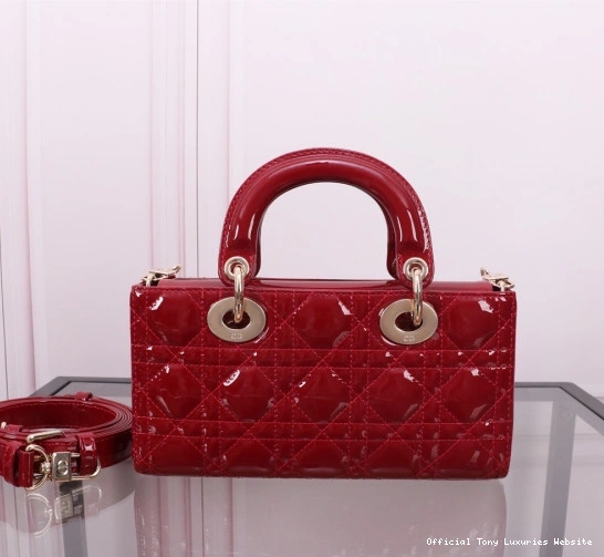 Tony Luxuries D-JOY BAG-22*12*6CM LADY diro 0728